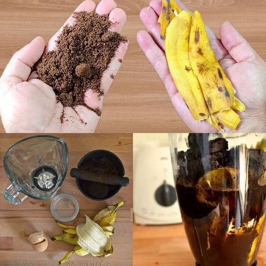 Discover the Benefits of Coffee-Infused Banana Peel