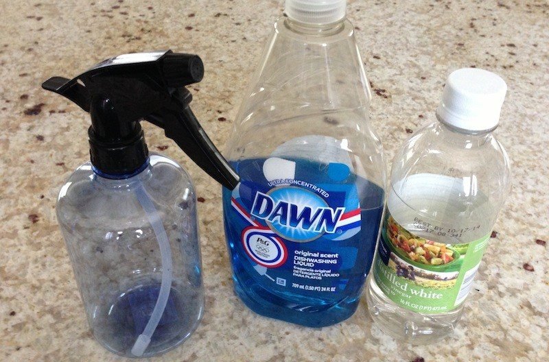 Dishwashing Liquid with Vinegar for Sparkling Results