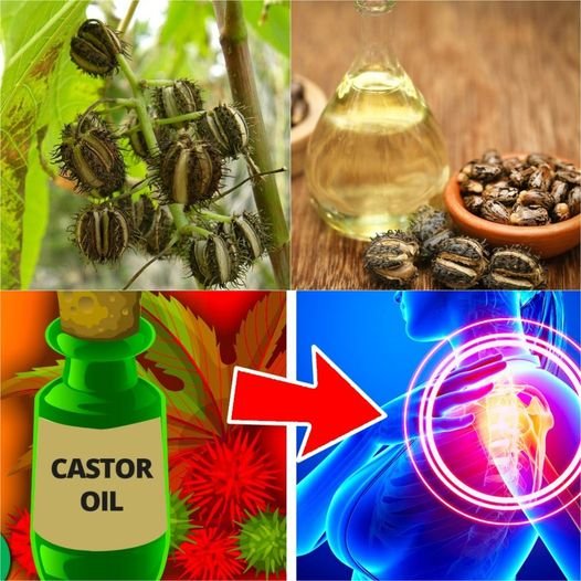 Top 10 Uses of Castor Oil You’ll Wish Someone Told You Sooner