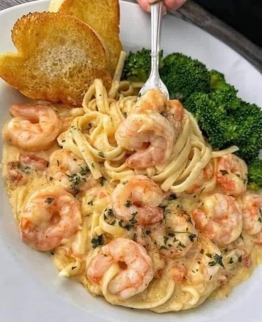 PASTA ALFREDO WITH SHRIMP
